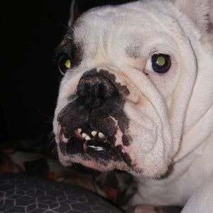 Meet your Posher, James